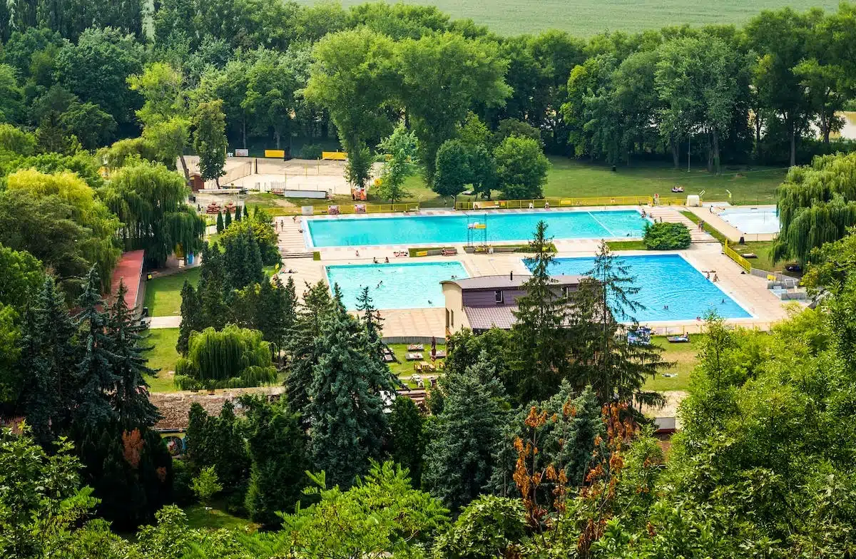 piscine naturelle