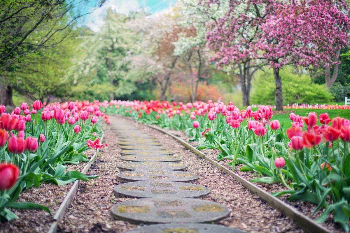 aménagement jardin