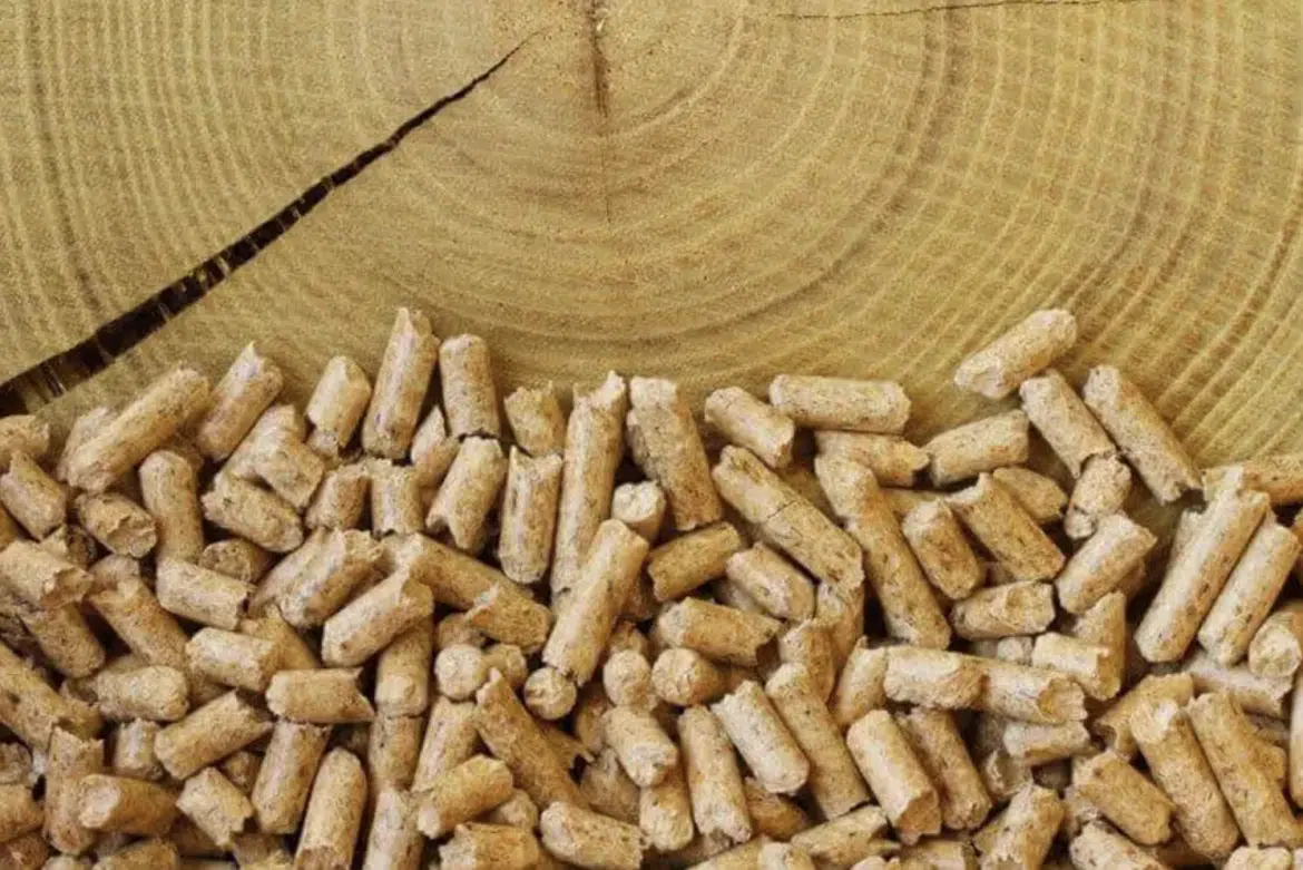 pellets de bois