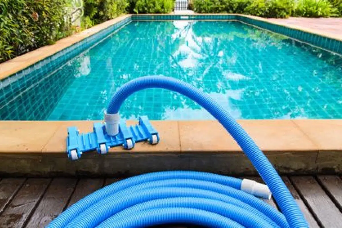 algues piscine